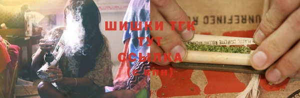 гидра Белоозёрский
