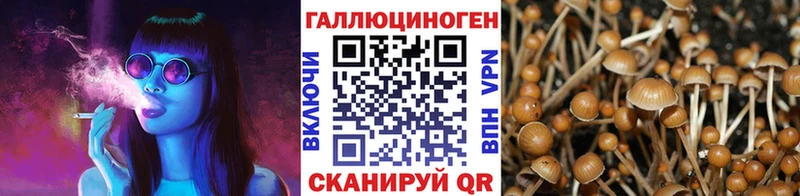 Псилоцибиновые грибы GOLDEN TEACHER  Очёр 